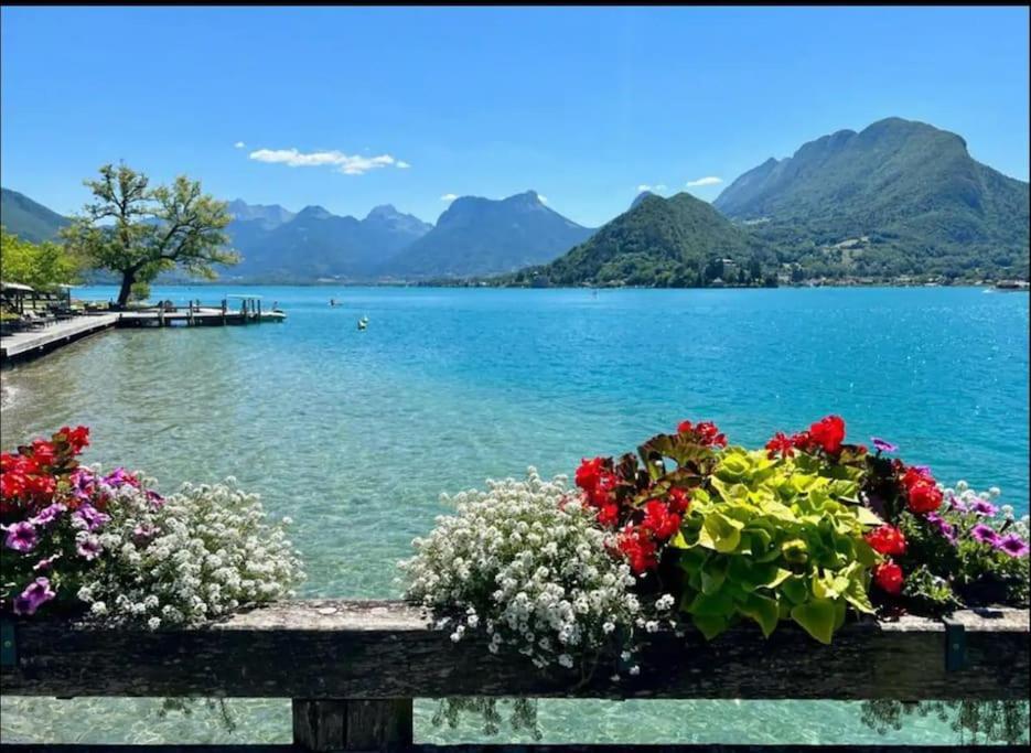 Apartamento La Perle Du 3* - Vue Annecy